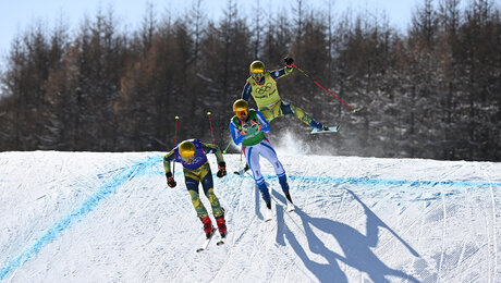 Skicross: Deutsche Männer ohne Medaille